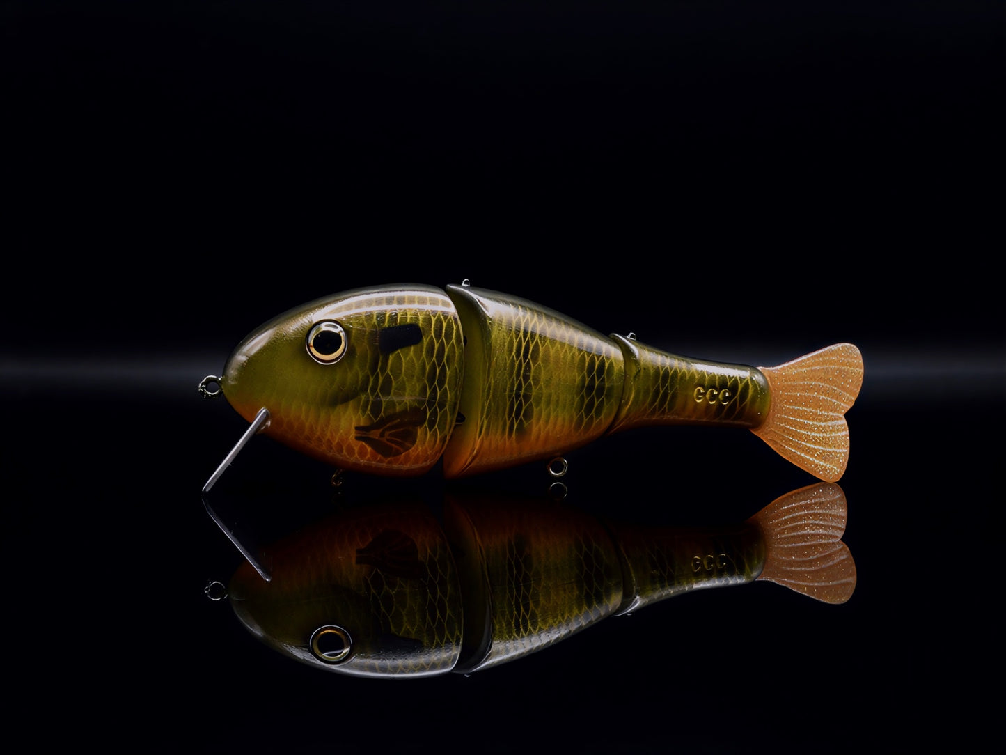 Step Child - Orange Belly Gill