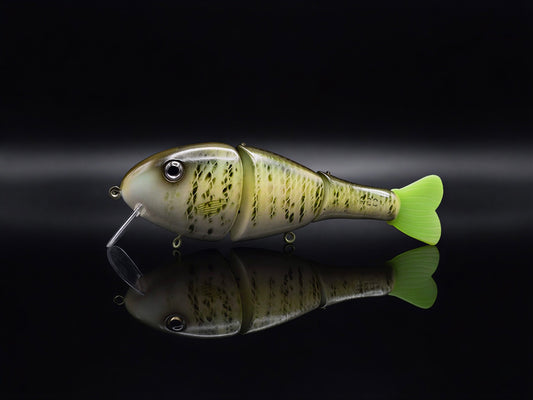 Step Child - White Crappie